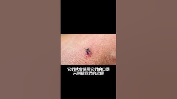 為什麼蚊子會叮人？