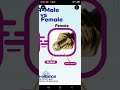 Sma Types Male & Female