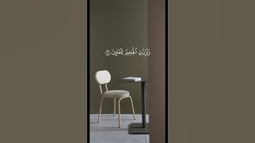 سوره الشعراء بصوت الشيخ ياسر الدوسري #سورة_الشعراء #ياسر_الدوسري #قران_كريم #اكسبلور#صلوا_على_النبي