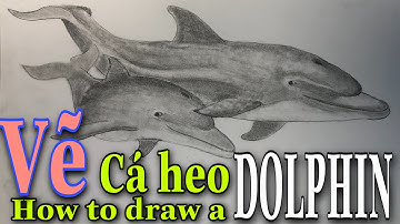 Cách vẽ cá heo đơn giản | How to draw dolphin