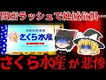 ゆっくり解説 もはや絶滅危惧種 さくら水産 が悲惨すぎる しくじり企業 ゆっくり解説 もはや絶滅危惧種 さくら水産 が悲惨すぎる しくじり企業