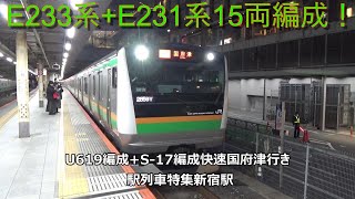 E233系+E231系15両編成！U619編成+S-17編成快速国府津行き　駅列車特集　JR湘南新宿ライン　新宿駅1番線　その3