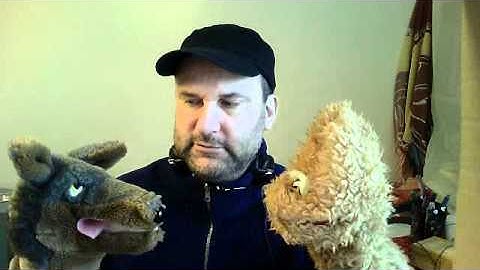 Nonviolent Communication - observations and conflict - with jackal, giraffe and Harry