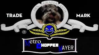 Metro Chopper Mayer Logo Updated