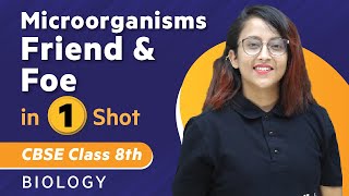 Microbes Friend and Foe in One Shot | Biology - Class 8th | Umang | Physics Wallah