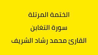سورة التغابن القارئ محمد رشاد الشريف