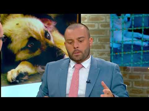 ცხოველთა მონიტორინგის სააგენტოს მაშველები