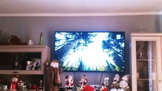 Polsat 1 - Plansza Produkcyjna I Zapowiedź 08.11.2019