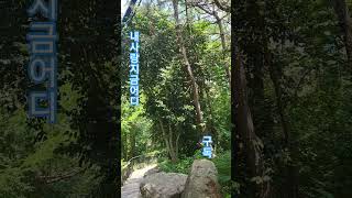 내사랑 지금 어디 #김용빈 #아름다운노래 #구독과좋아요
