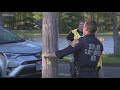 Illegal cockfighting operation leads to dozens of arrests in Tolland: Town manager