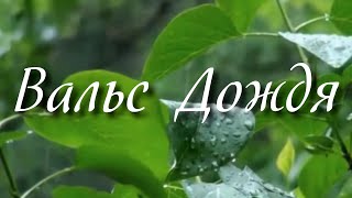 Вальс Дождя (Природа Под Дождем) / Agent Studio (Видео На Заказ)