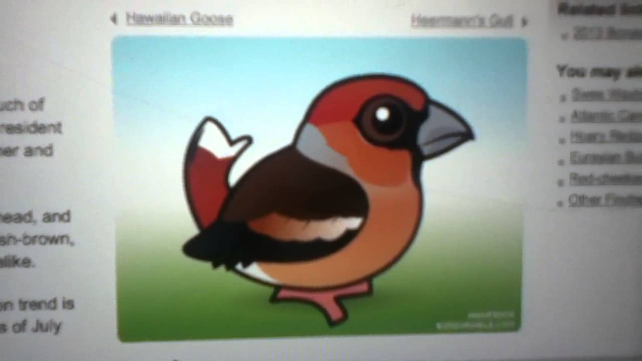 camera iphone 8 plus apk Hawfinch