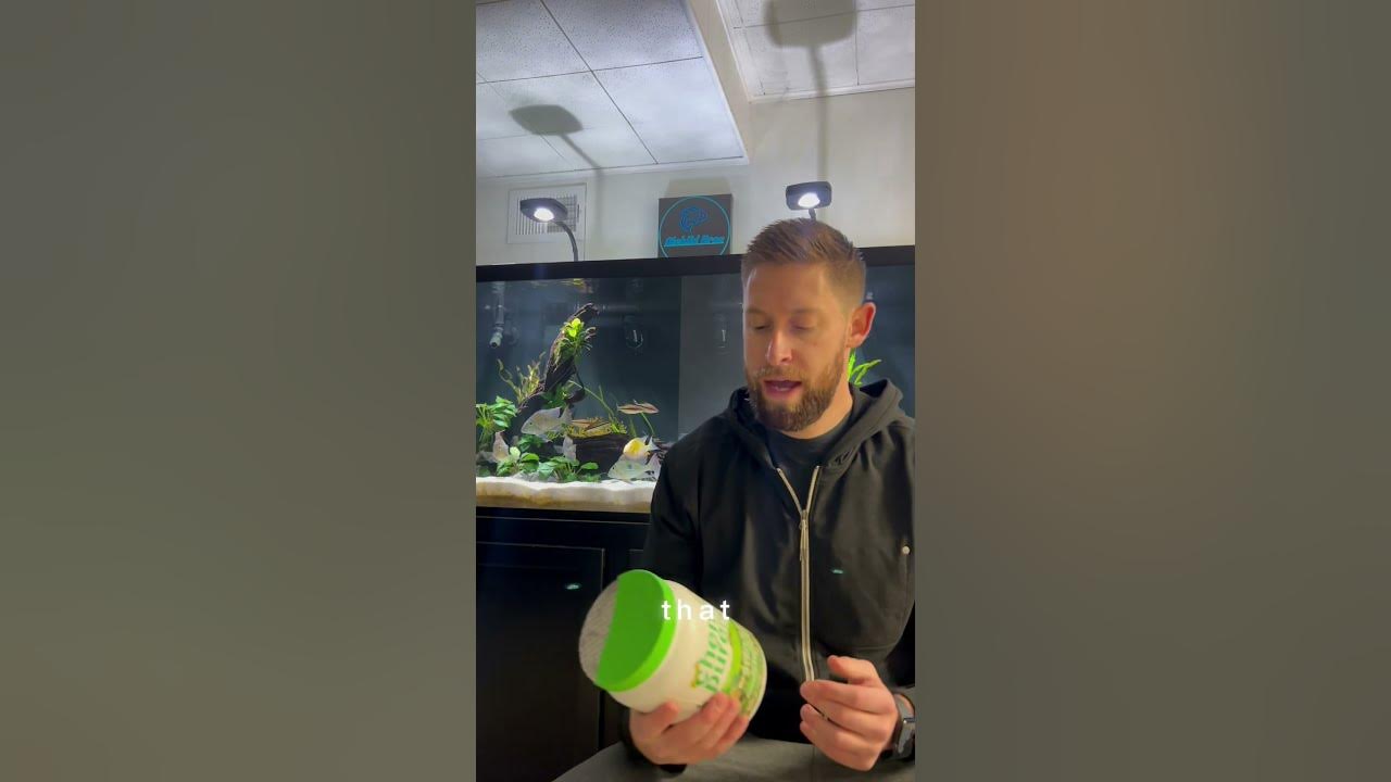 Crystal Clear Aquarium Water Simple Tips! YouTube