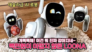 테슬라급 인공지능 애완로봇~개처럼 굴지마! 무서워~ AI 로봇 강아지 루나 Loona The Petbot Robot Dog