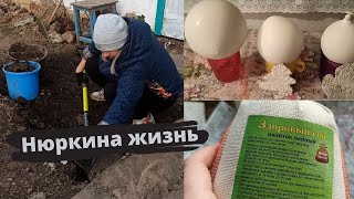 Жизнь на юге // Массовые отписки с канала // Заготовки для ёлочных украшений