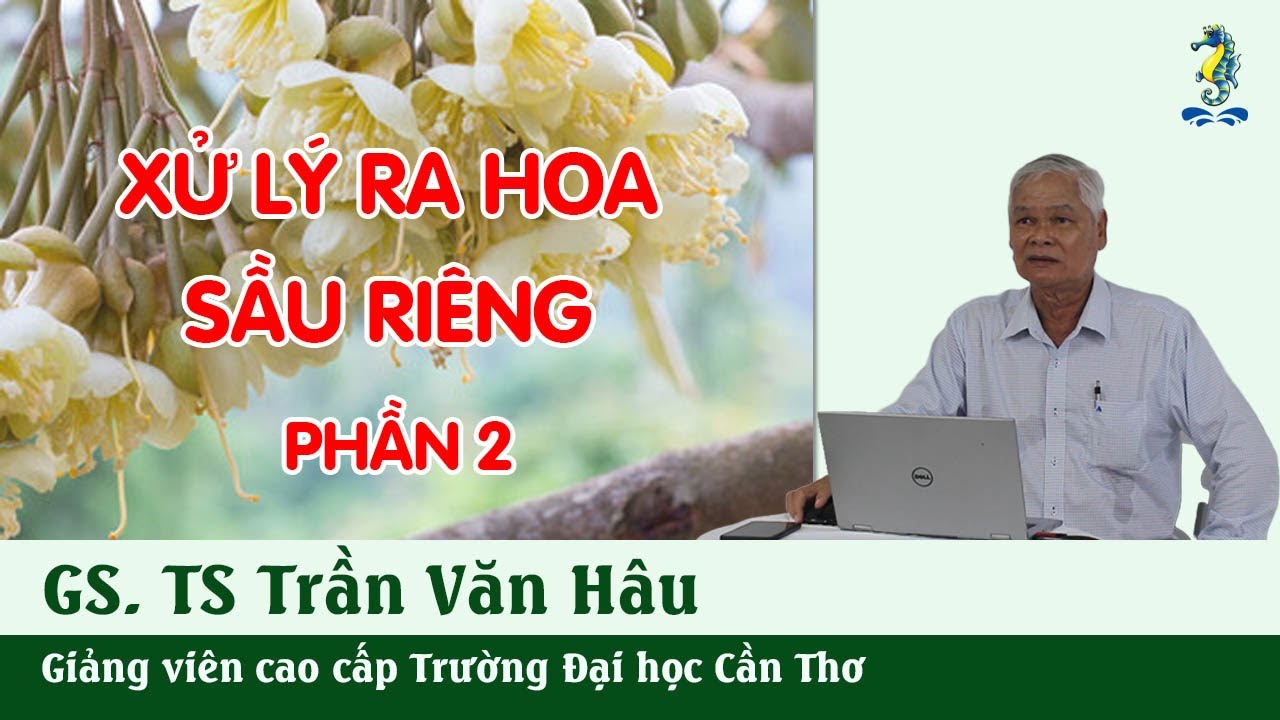 KỸ THUẬT TRỒNG VÀ CHĂM SÓC CÂY SẦU RIÊNG - Xử lý ra... - youtube
