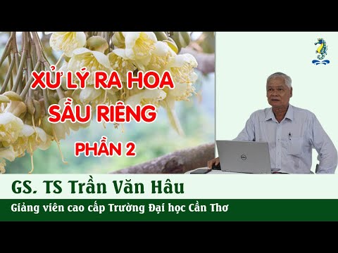 Video KỸ THUẬT TRỒNG VÀ CHĂM SÓC CÂY SẦU RIÊNG - Xử lý ra... - youtube
