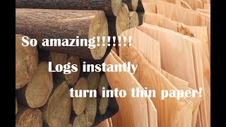 4 feet spindleless veneer peeling machine which can help logs become thin paper!!