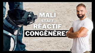 Staff réactive congénère : Chien incompris EP 1