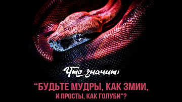 Что значит: 