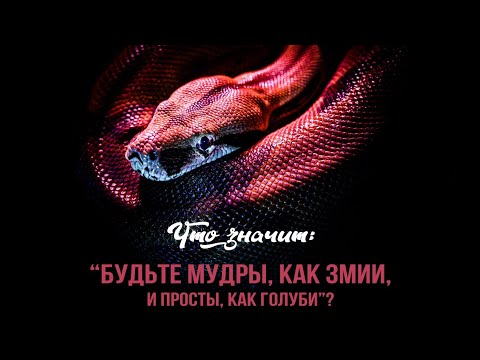 Что значит будьте мудры как змии и просты как голуби Уроки ЧистоПисания
