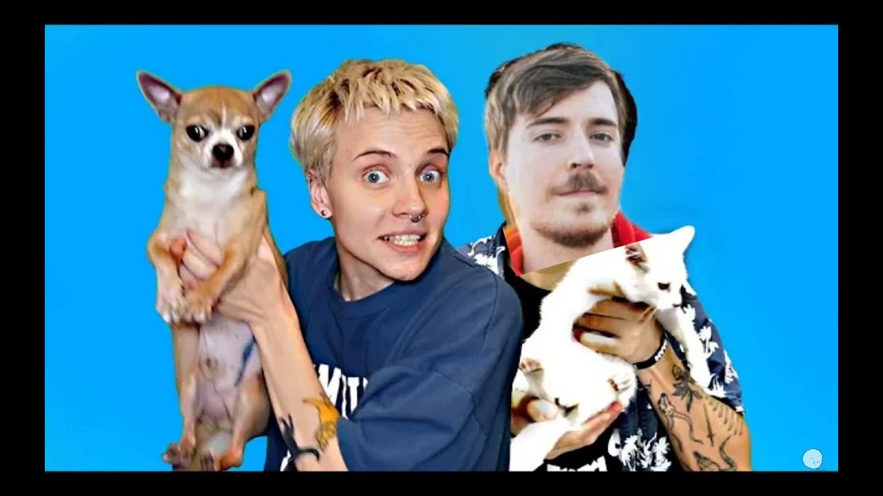 радио кекс. холи бам и оля кекс. девушка битбоксер оля кекс. оля кекс битбокс. Its muffin time.