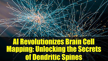 AI Revolutionizes Brain Cell Mapping: Unlocking the Secrets of Dendritic Spines