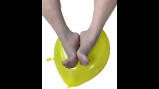 Soft Gray Nylons & Loons