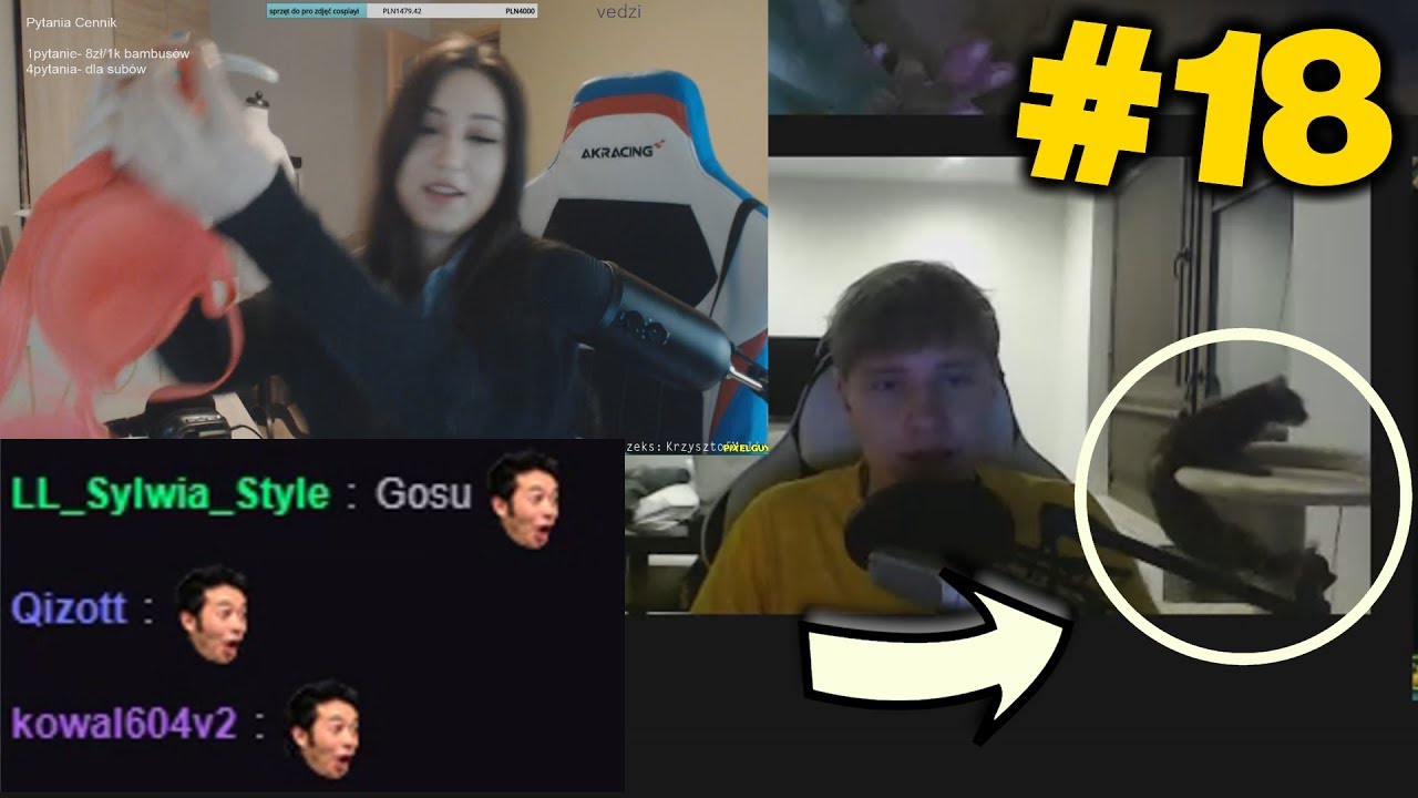 #18 ARQUEL - NIEZDARNY KOT, POLSKI GOSU