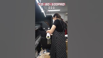 Unleash Your Creative Side: Amazing Styles Printed by Socks Printing Machine#shorts