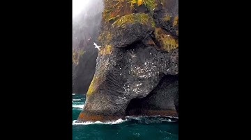 خواتيم سورة البقرة آمن الرسول بما أنزل إليه من ربه... بصوت الشيخ أحمد العجمي