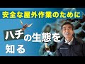 蜂の生態を知って、屋外作業を安全にする