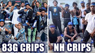 Neighborhood Crips vs. 83 Gangsta Crips Net Worth