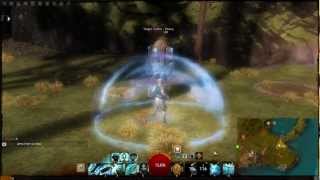 Guild Wars 2 Beta: Guardian Wall of Reflection and Sanctuary Skills (Utilities)