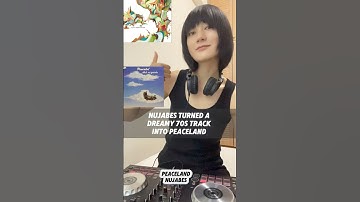 Nujabes turned a dreamy 70s track into Peaceland #sample #lofi #jazzyhiphop #nujabes #Jazz