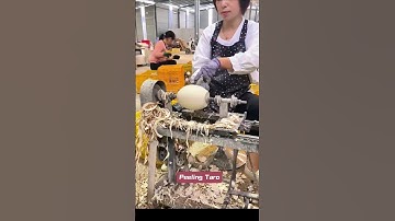 Taro Peeling Process | Excellent Tools #workers #satisfying