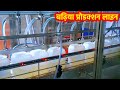 Amazing Oil Filling Production Line Inside Factory |  Plug Pressing, and Screw Capping Machine 2023