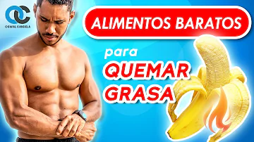 ¿Qué alimentos queman literalmente la grasa?