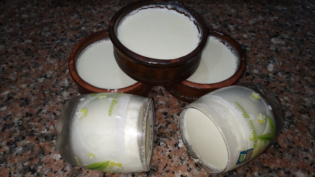 الزبادي البلدي باسهل طريقه مع صدفه جاد