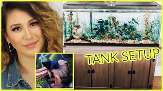How I set up a betta tank &amp; 55 Gallon Fish Tank |BondbeautysJungle