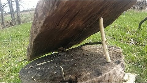 Lever Trigger Split Stick Deadfall Trap