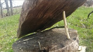 Lever Trigger Split Stick Deadfall Trap