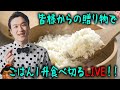 【LIVE】皆様からの贈り物で、ご飯1升食べ切るLIVE！！【ぞうさんパクパク】【大食い】