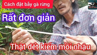 Bẫy gà rừng. Cách đặt bẫy gà rừng rất đơn giản cực kì hiệu quả. chúc các bạn thành công