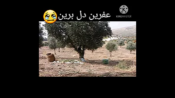 عفرين دل برين 