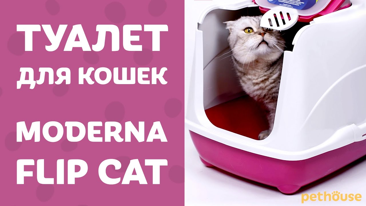 Закрытый туалет для кошек MODERNA FLIP CAT Large & Jumbo | обзор от pethouse.ua