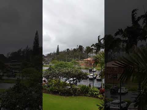 Video: Het weer en klimaat op Kauai