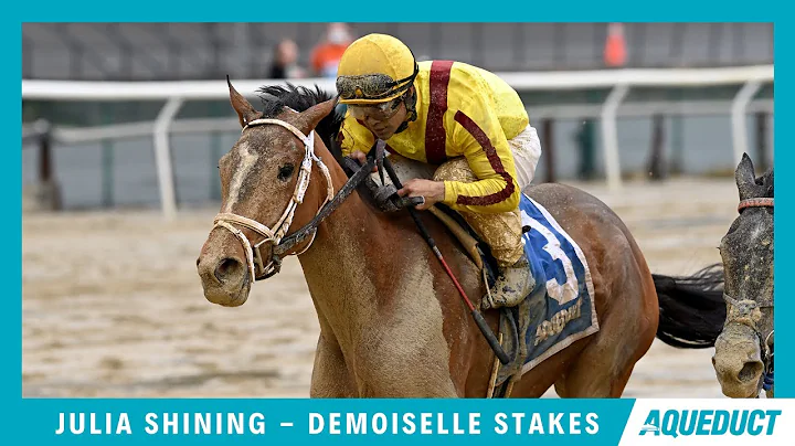 Julia Shining - 2022 - The Demoiselle