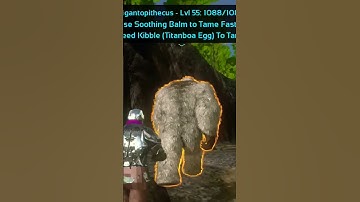 #shorts🔥Tame 🦍gorilla 🔥 tamed by Duoxe gamer 🔥
