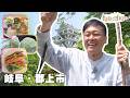 「郡上市」新緑に染まる“積翠城”へ!山菜ランチ・よもぎ餅・釣り堀グルメを満喫【旬咲く日和】
